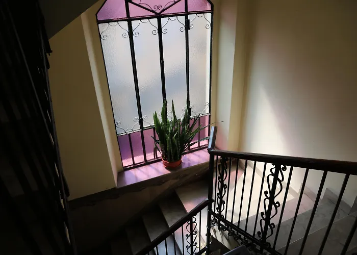 Pets Allowed Hotel Palladio